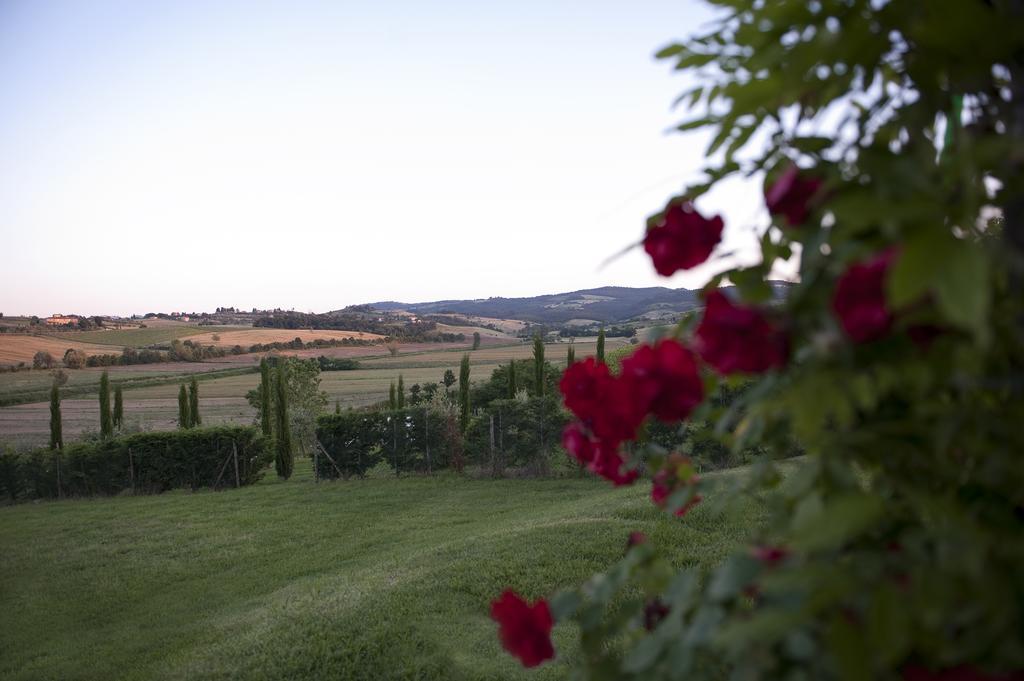 ホテルAgriturismo La Corte Dei Sogni トッリータ・ディ・シエーナ エクステリア 写真