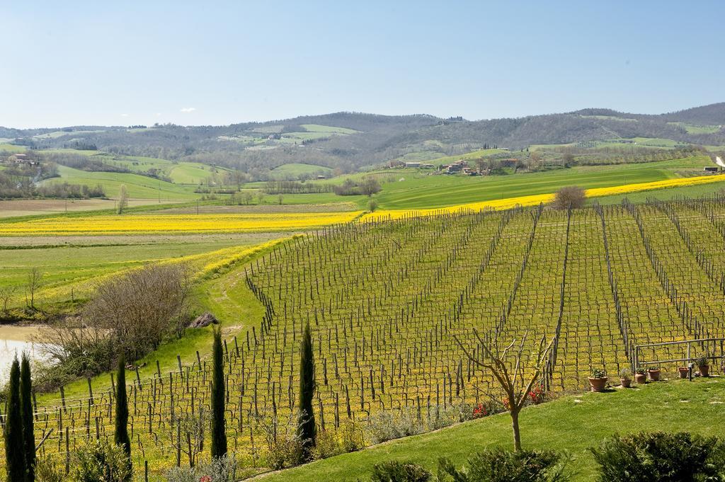 ホテルAgriturismo La Corte Dei Sogni トッリータ・ディ・シエーナ エクステリア 写真